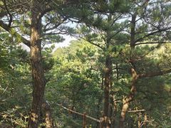 -西尖山公园