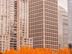 -陆家嘴空中步行连廊