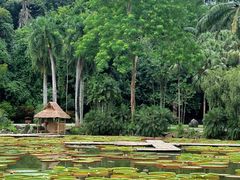 -中国科学院西双版纳热带植物园