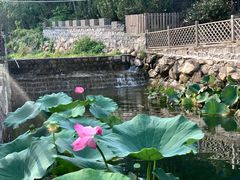 -北镇龙岗子生态园