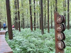 -上海怡沁园度假酒店