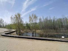 -东郊湿地公园