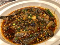 -情妹耙泥鳅·江湖川菜(科华店)