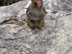 -千岛湖东南湖区