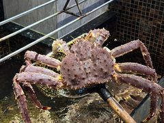 -海鲜e族(马王堆店)