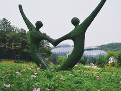 -大塘金香草谷