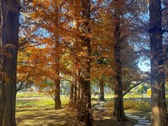 -国家植物园南园