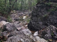 -北京鹫峰国家森林公园