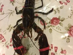 -花乐餐厅(涠洲岛店)