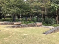 -王借岗森林公园