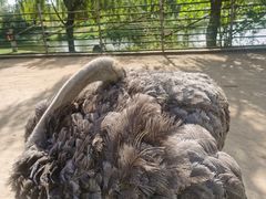 -羊亭河湿地公园