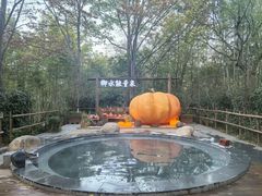 -天目湖御水温泉·度假酒店