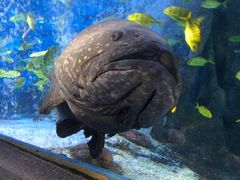 -太平洋海底世界