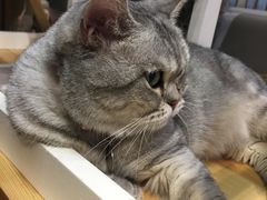 -小时光咖啡馆(开森度假森林店)