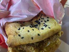 -塔斯汀中国汉堡(江大南路店)