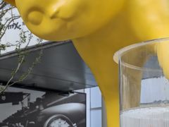 -深圳湾万象城(南山店)