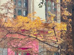 -四川大学(望江校区)