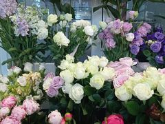 -FEI FEI FLOWER鲜花店·气球派对·宝宝宴布置(虹口德必运动Loft店)