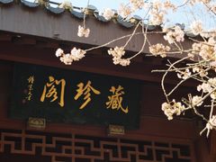 -堤角公园