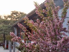 -海棠花溪(元大都城垣遗址公园)