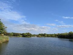 -苏州太湖国家湿地公园
