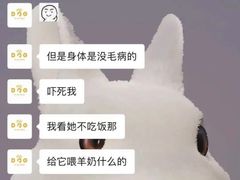 -诺诺宠屋(欧洲城店)