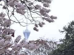 -成都市活水公园