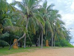 -三亚海棠湾万丽度假酒店