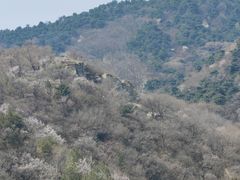 -北京鹫峰国家森林公园