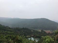-大姆山草场