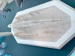 -中国（海南）南海博物馆