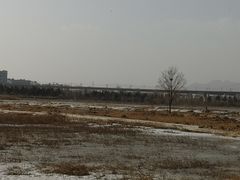 -绿堤公园