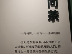 -信阳博物馆