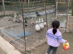 -前小桔亲子创意农场·草莓采摘·露营烧烤