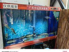 -肆月河豚·新淮扬(金融街店)
