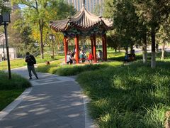-西海子公园