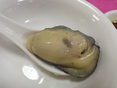 -蠔园山庄(礼乐食街店)