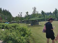 -上海长兴岛郊野公园