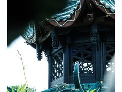 -桂湖森林公园