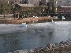 -太原动物园