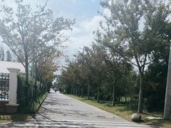 -上海长兴岛郊野公园