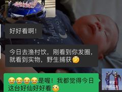 -顺德渔村·岭南一号