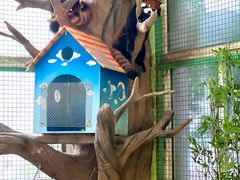 -海合安武汉极地海洋公园