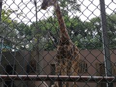 -荆州中山公园动物园