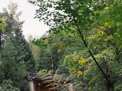 -乌岩头民俗博物馆