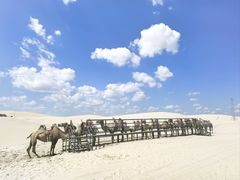 -库伦旗银沙湾旅游景区