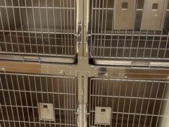 -瑞派康怡24h宠物医院·犬猫医疗中心·微创绝育(瑞景分院)