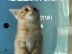 -庐州太太(CBD店)
