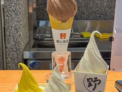 -野人先生Gelato(上海长宁龙之梦店)