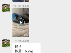 -瑞派康怡24h宠物医院·犬猫医疗中心·微创绝育(瑞景分院)